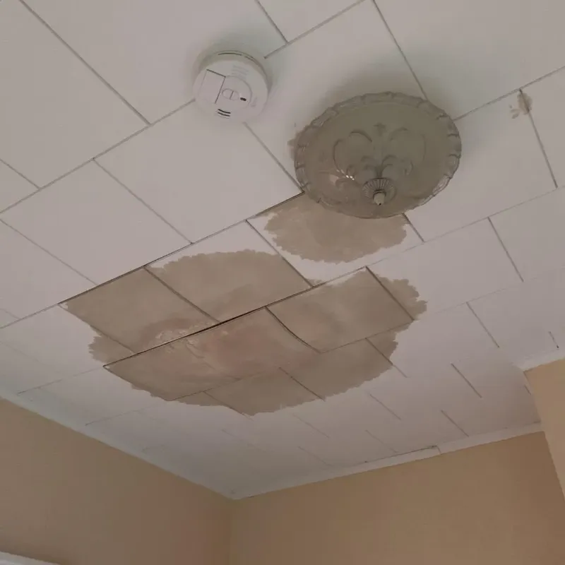Ceiling Water Damage Repair in Stafford, VA